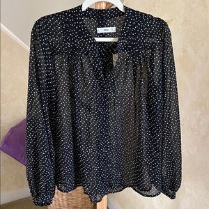 Mango Sheer Button Up Blouse